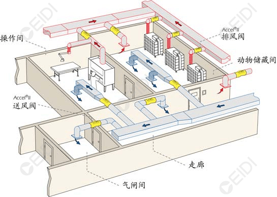 動物房潔凈室空調(diào)設(shè)計(jì):開放式籠架具屏障環(huán)境送回風(fēng)設(shè)計(jì)要點(diǎn)  CEIDI西遞 動物房潔凈室空調(diào)設(shè)計(jì):開放式籠架具屏障環(huán)境送回風(fēng)設(shè)計(jì)要點(diǎn)  CEIDI西遞