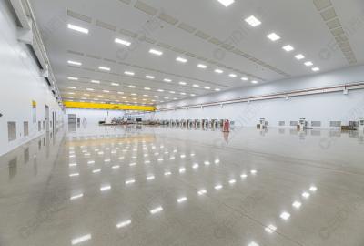 研究揭示肺炎免疫新機制，為臨床診治提供新靶點